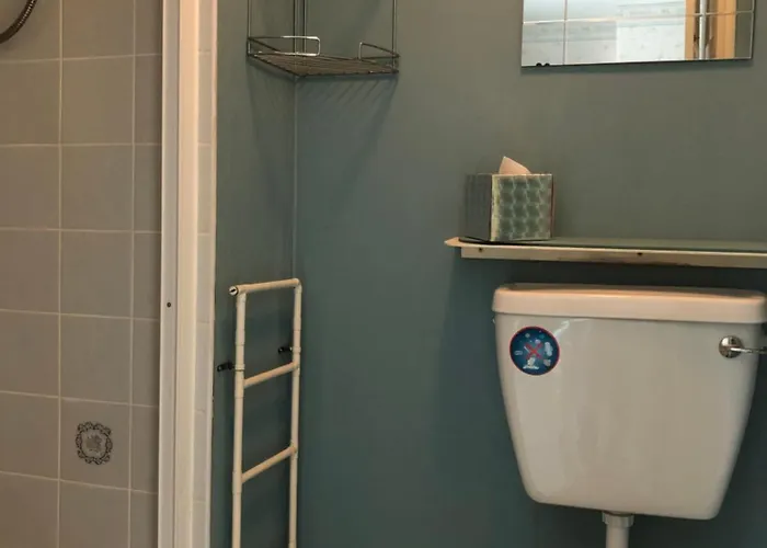 Guest house Ryedale House 3*